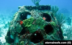 Искусственный "погребальный" риф. Фото: eternalreefs.com